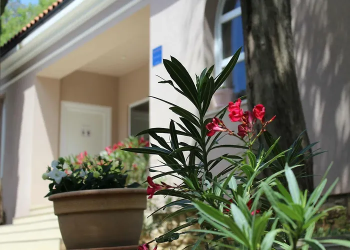 Apartament Jadranka